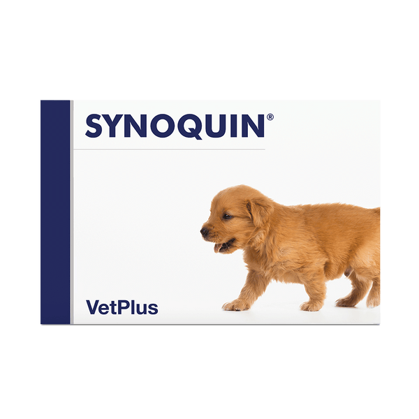 Vetplus Nutraceutical Supplement Synoquin Growth