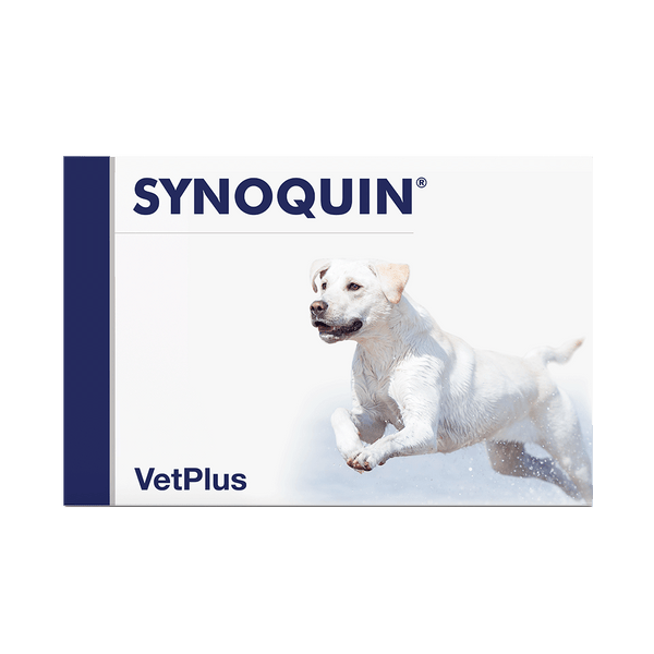 Vetplus Nutraceutical Supplement Synoquin Large Breed for Dog & Cat