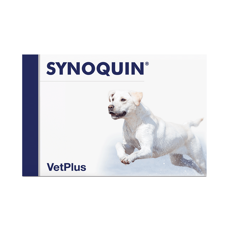 Vetplus Nutraceutical Supplement Synoquin Large Breed for Dog & Cat