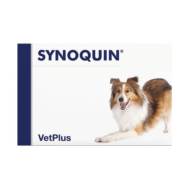 Vetplus Nutraceutical Supplement Synoquin Medium Breed for Dog & Cat