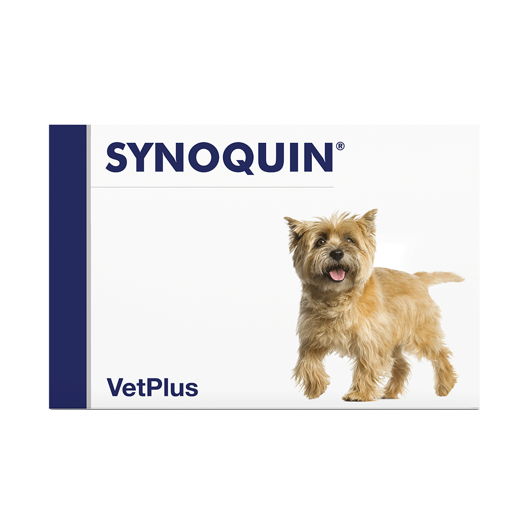 Vetplus Nutraceutical Supplement Synoquin Small Breed for Dog & Cat