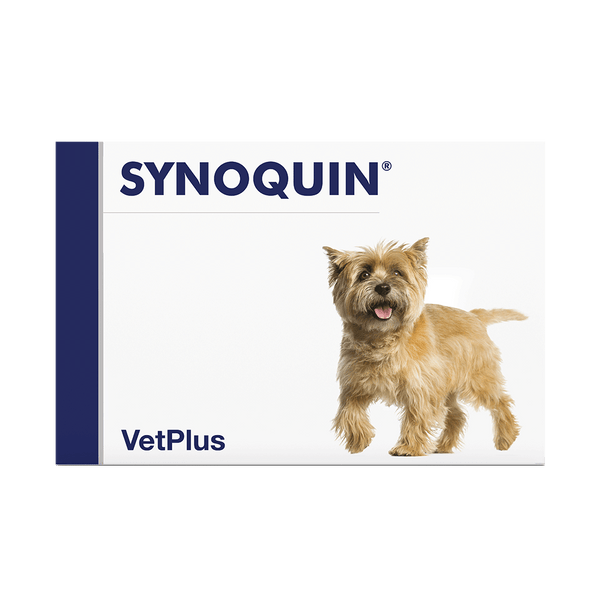 Vetplus Nutraceutical Supplement Synoquin Small Breed for Dog & Cat