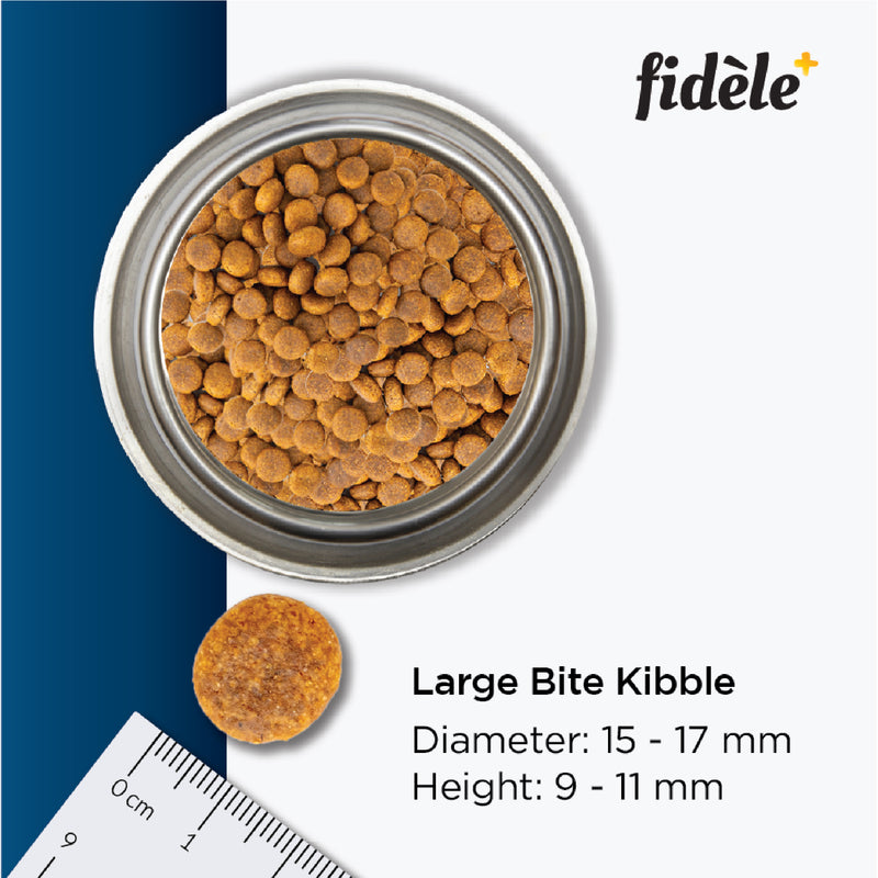 Fidele+ Dry Dog Food Adult Large Breed