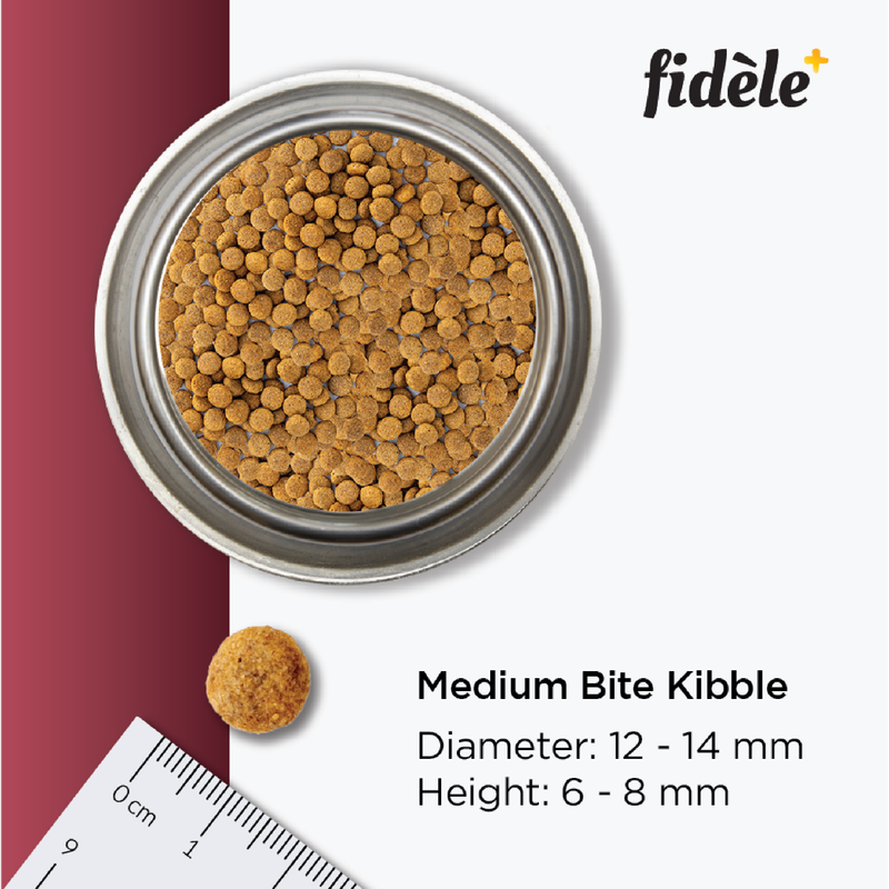 Fidele+ Dry Dog Food Adult Light & Senior