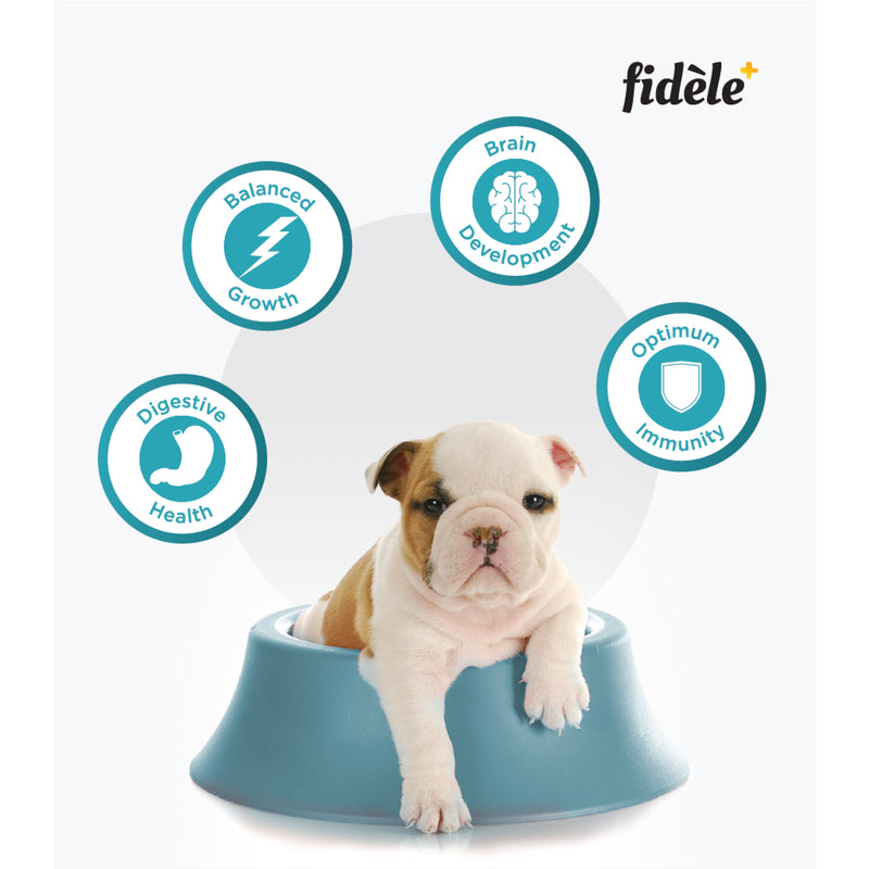 Fidele+ Dry Dog Food Starter Puppy