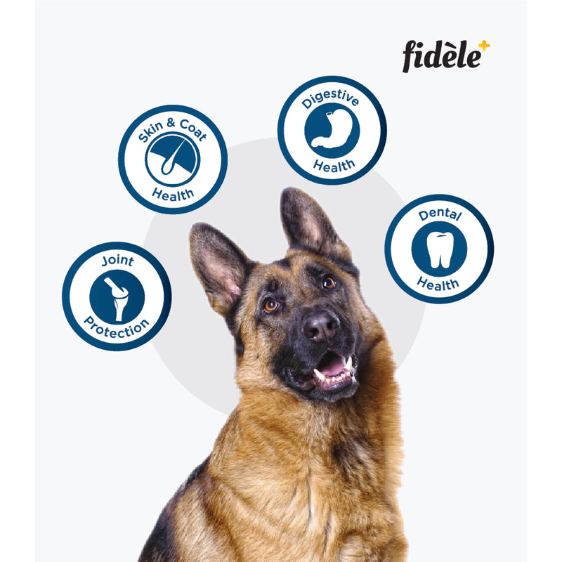 Fidele+ Dry Dog Food Adult Large Breed