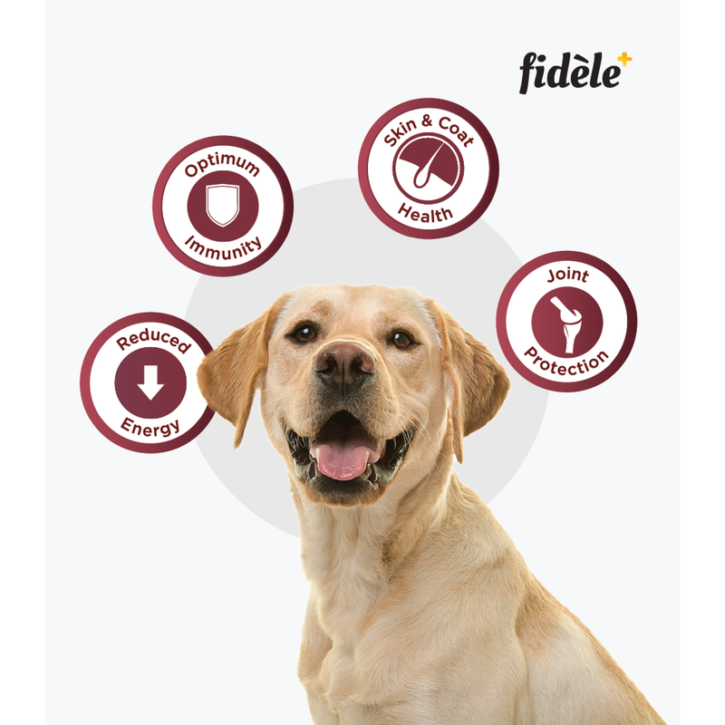 Fidele+ Dry Dog Food Adult Light & Senior