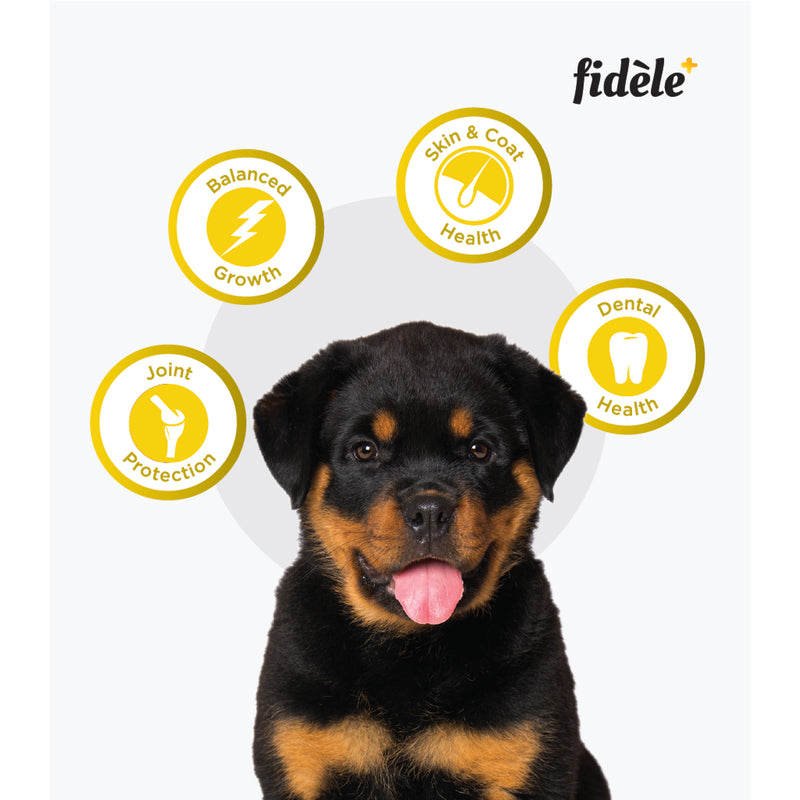 Fidele+ Dry Dog Food Large Breed Puppy