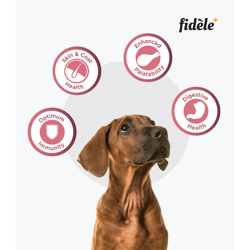 Fidele+ Dry Dog Food Small & Medium Puppy