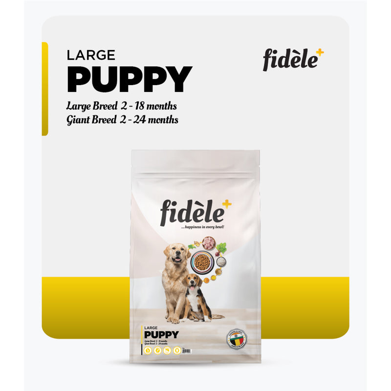 Fidele+ Dry Dog Food Large Breed Puppy