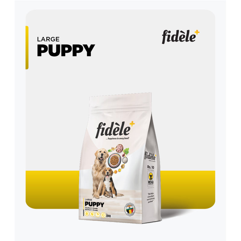 Fidele+ Dry Dog Food Large Breed Puppy