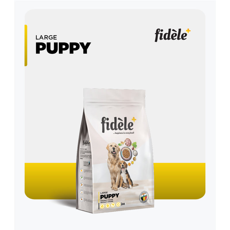 Fidele+ Dry Dog Food Large Breed Puppy