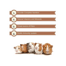 Vitapol Economic Small Animal Food For Hamster 1.2kg